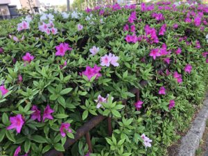 季節は進む、、、、、、