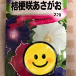 今年こそは、、、、、