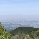 みんなで100日チャレンジ、、、、、