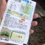 今年こそは朝顔を、、、、、