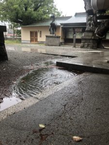 インスタとフェイスブックの更新は、、、、、