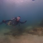 今年の挑戦（チャレンジ）は、、、、