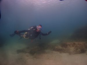 今年の挑戦（チャレンジ）は、、、、