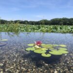 作品の写真撮影には良き環境です、、、、、