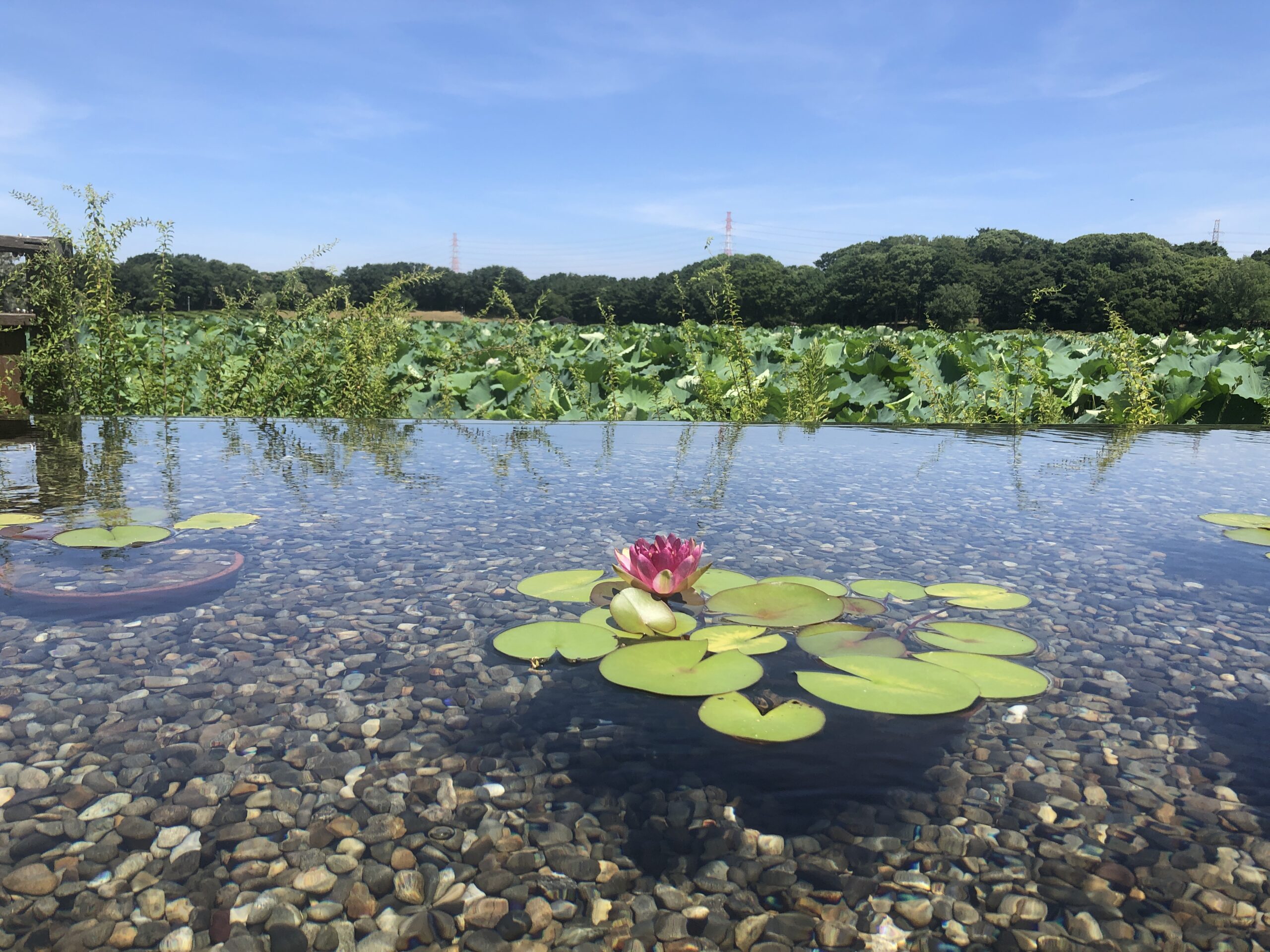 作品の写真撮影には良き環境です、、、、、