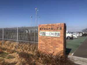 海が見たい、、、、