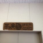 茶の実オイルに、、、、、