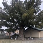 毎月月末は晦日参り、、、、、