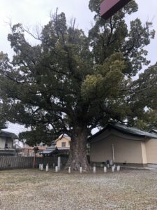 毎月月末は晦日参り、、、、、