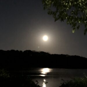 先日のお月様は、、、、