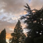 こういう景色は、、、、、