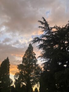 こういう景色は、、、、、