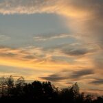 今年もあと二ヶ月、、、、、