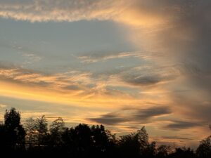 今年もあと二ヶ月、、、、、
