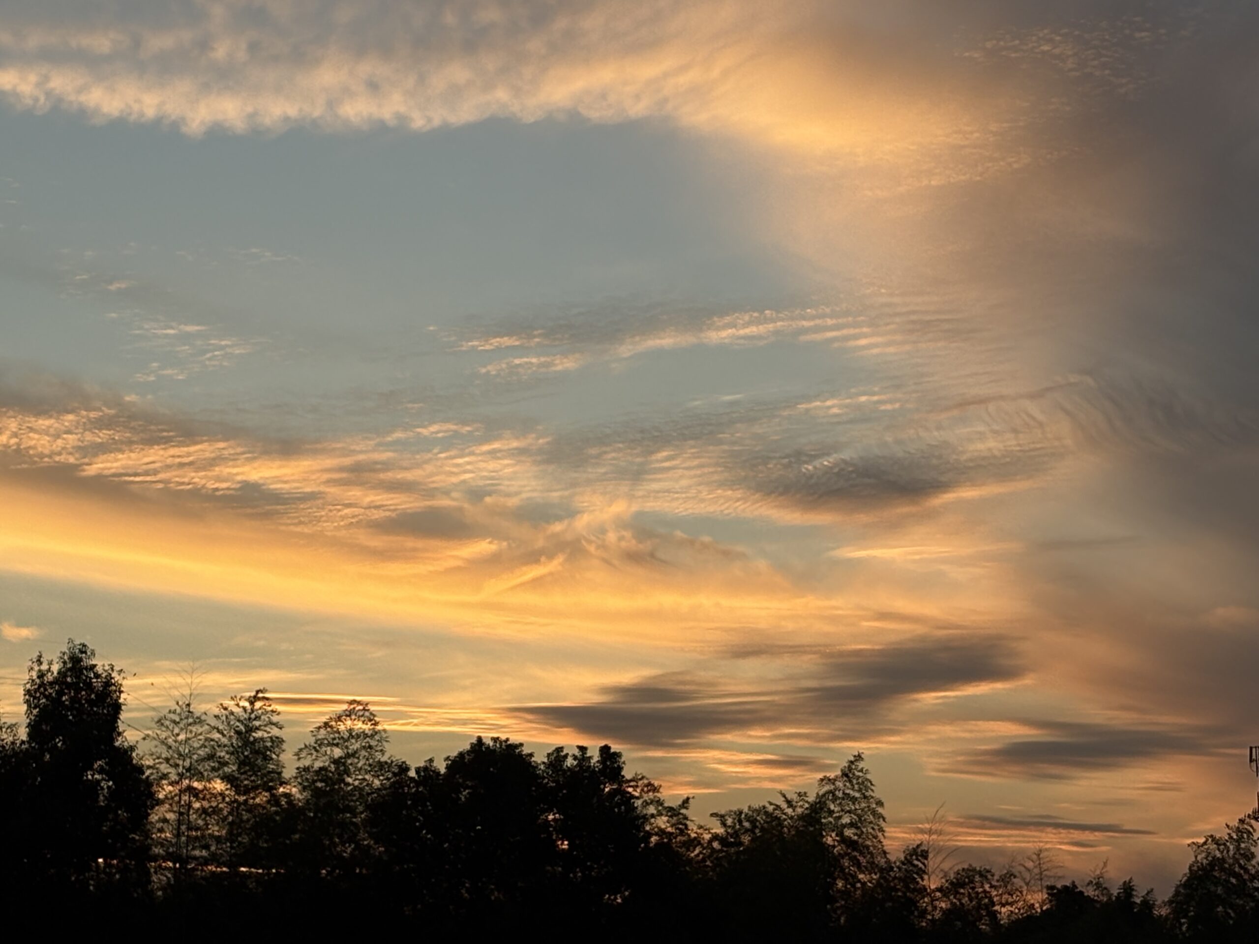 今年もあと二ヶ月、、、、、